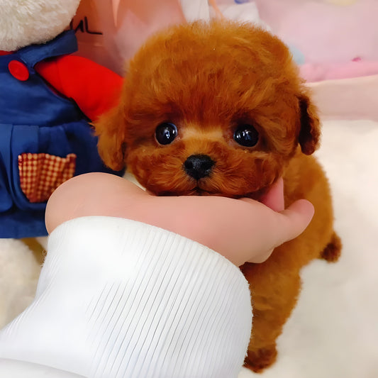 CuddlePup™ 2.0 - Une poupée réaliste en forme de chiot